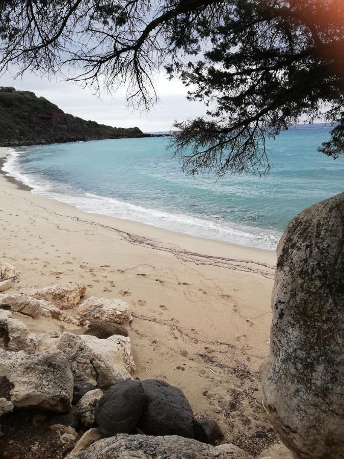 Appartamenti Le Conchiglie E Le Stelle Marine Cala Gonone Eksteriør bilde