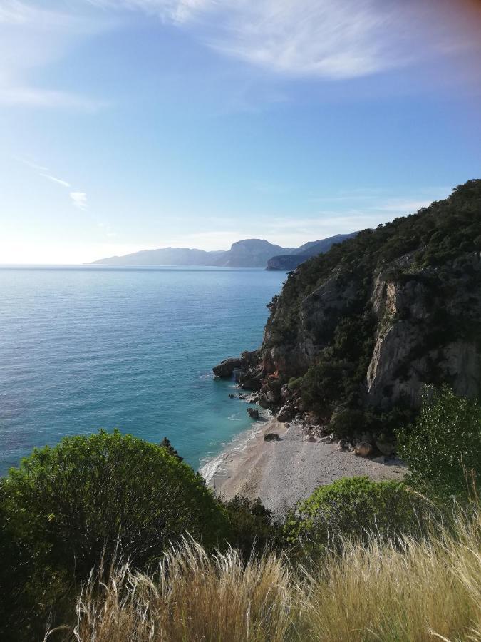 Appartamenti Le Conchiglie E Le Stelle Marine Cala Gonone Eksteriør bilde