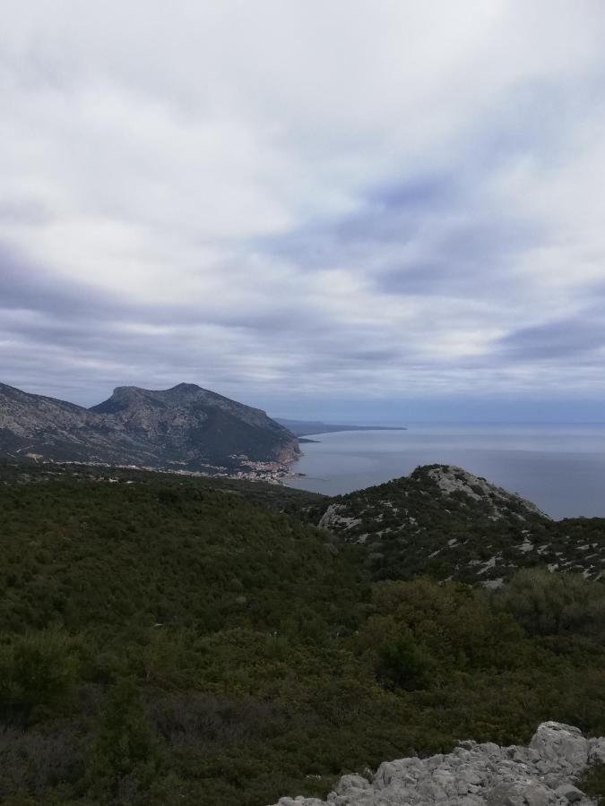 Appartamenti Le Conchiglie E Le Stelle Marine Cala Gonone Eksteriør bilde
