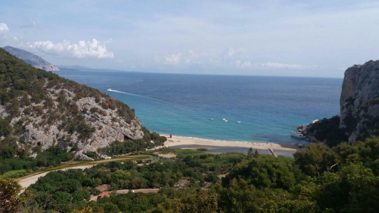 Appartamenti Le Conchiglie E Le Stelle Marine Cala Gonone Eksteriør bilde